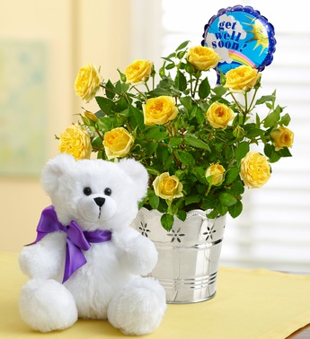 get well soon flowers and teddy bear